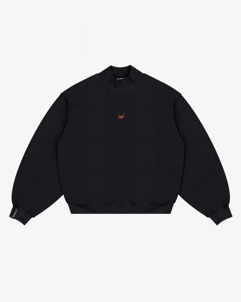 1_CT_X