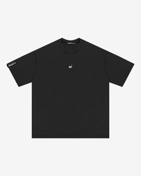 1_CT_X